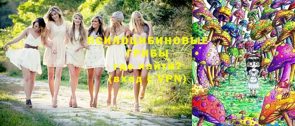 дживик Балахна
