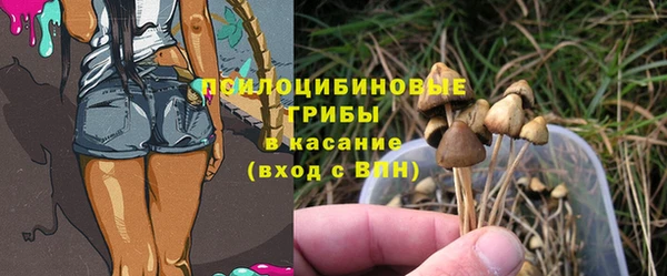 дживик Балахна